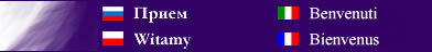 Internet Marketing Web Site Marketing